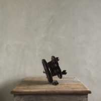 Visreel Modernite Pixie