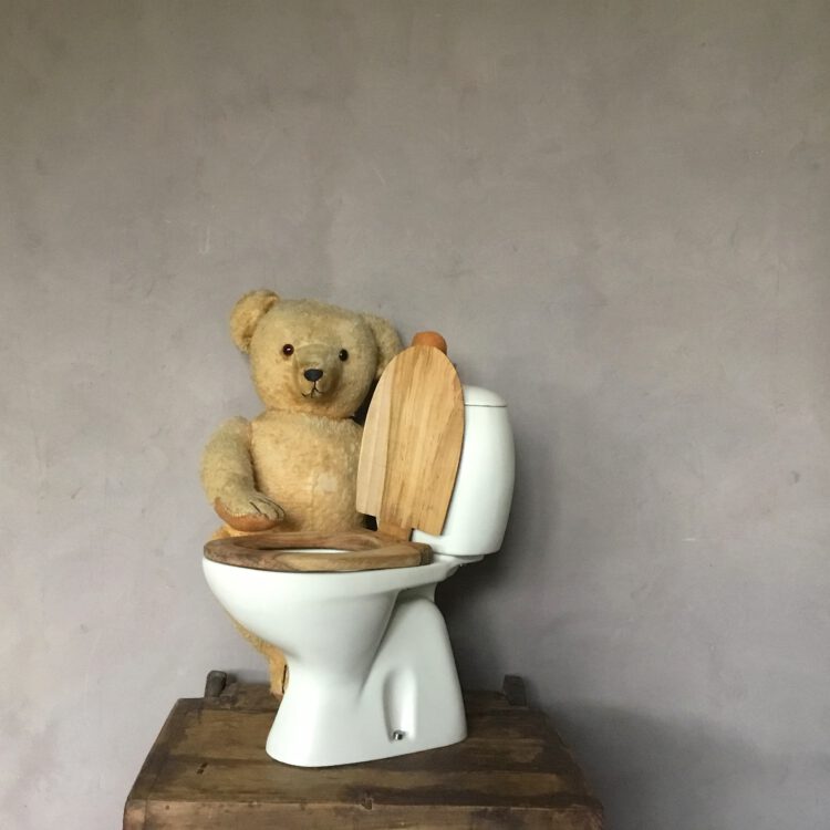Toilet display Sphinx